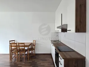 Pronájem bytu 2+kk, Praha - Vysočany, Podkovářská, 53 m2