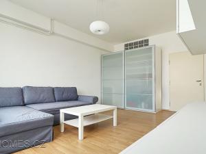 Pronájem bytu 1+1, Praha - Nové Město, Opletalova, 35 m2