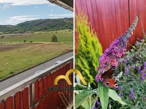 Prodej rodinného domu, Zdice, Nad Úvozem, 250 m2