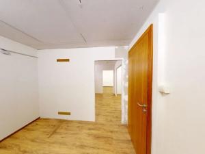 Pronájem skladu, Praha - Žižkov, Malešická, 40 m2