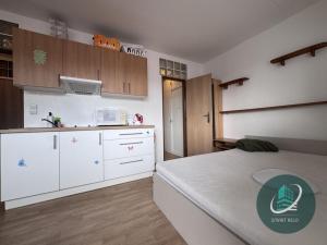 Pronájem bytu 1+kk, Praha - Veleslavín, Evropská, 35 m2
