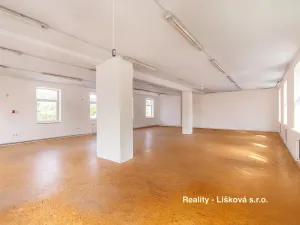 Pronájem výrobních prostor, Libouchec, 261 m2