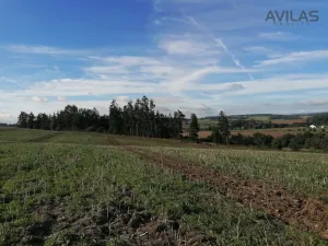 Prodej lesa, Zvěstov - Libouň, Zvěstov, 2824 m2