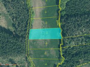 Prodej louky, Velká Turná, 2199 m2