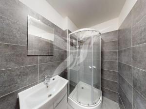 Pronájem bytu 1+1, Holýšov, Pod Makovým vrchem, 41 m2