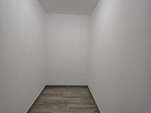 Pronájem bytu 3+kk, Plzeň, Na Rybníčku, 90 m2
