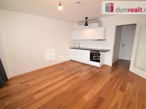 Pronájem bytu 1+kk, Praha - Vinohrady, Perucká, 27 m2