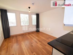 Pronájem bytu 1+kk, Praha - Vinohrady, Perucká, 27 m2