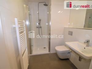 Pronájem bytu 1+kk, Praha - Vinohrady, Perucká, 27 m2