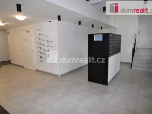 Pronájem bytu 1+kk, Praha - Vinohrady, Perucká, 27 m2