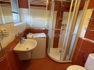 Pronájem bytu 2+1, České Budějovice - České Budějovice 5, Dělnická, 46 m2