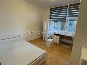 Pronájem bytu 2+1, České Budějovice - České Budějovice 5, Dělnická, 46 m2