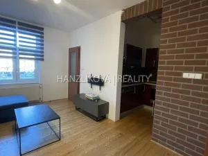 Pronájem bytu 2+1, České Budějovice - České Budějovice 5, Dělnická, 46 m2