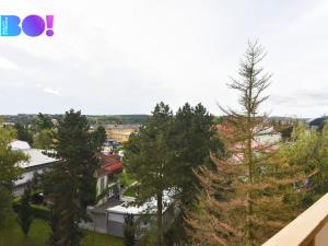 Pronájem bytu 2+kk, Zábřeh, Severovýchod, 37 m2