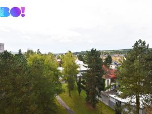 Pronájem bytu 2+kk, Zábřeh, Severovýchod, 37 m2