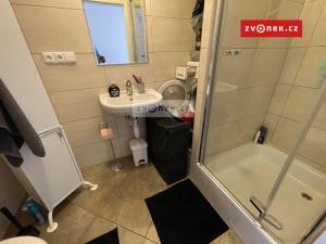 Prodej bytu 1+kk, Zlín, Fügnerovo nábřeží, 42 m2