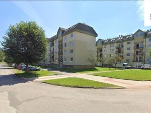 Pronájem bytu 1+1, Radvanice, 41 m2