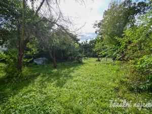 Pronájem bytu 1+kk, Brno - Královo Pole, Ruská, 20 m2