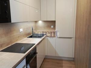 Pronájem bytu 1+kk, České Budějovice - České Budějovice 3, Riegrova, 47 m2