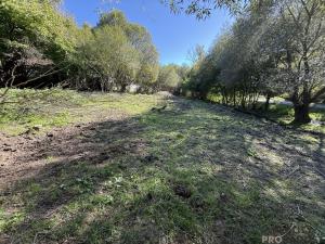 Prodej pozemku pro bydlení, Nechvalice - Ředice, 4965 m2