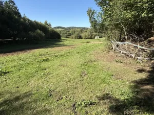 Prodej pozemku pro bydlení, Nechvalice - Ředice, 4965 m2