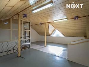Pronájem obchodního prostoru, Břeclav, Lidická, 675 m2