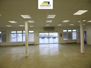 Pronájem skladu, Brno - Slatina, Řípská, 800 m2