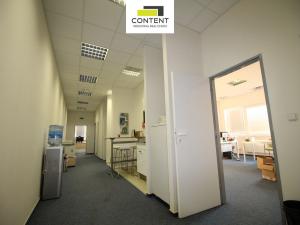 Pronájem skladu, Brno - Slatina, Řípská, 800 m2
