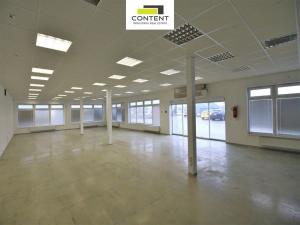 Pronájem obchodního prostoru, Brno - Slatina, Řípská, 800 m2