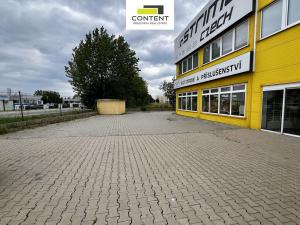 Pronájem obchodního prostoru, Brno - Slatina, Řípská, 800 m2
