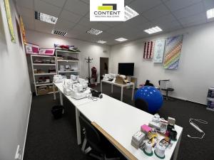 Pronájem obchodního prostoru, Brno - Slatina, Řípská, 800 m2