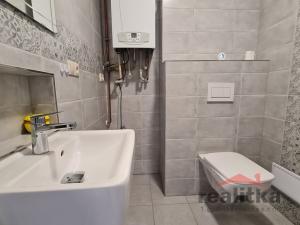 Pronájem bytu 1+kk, Opava - Město, Popská, 32 m2