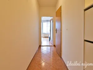 Pronájem bytu 1+kk, Brno - Židenice, Bělohorská, 38 m2