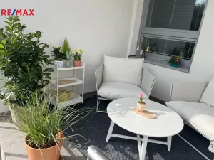 Pronájem kanceláře, Třebíč - Nové Město, Brněnská, 19 m2