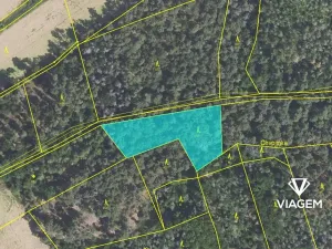 Prodej podílu lesa, Hrdlív, 807 m2