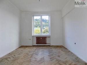 Prodej bytu 2+1, Děčín - Děčín I-Děčín, Čsl. armády, 55 m2