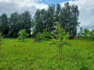 Prodej pozemku pro bydlení, Bartošovice, 760 m2
