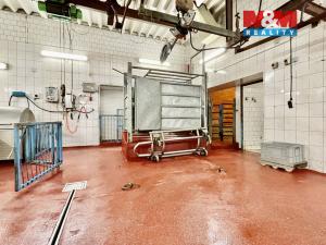 Prodej obchodního prostoru, Světlá Hora - Světlá, 400 m2