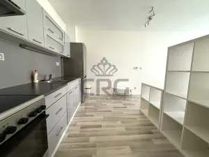 Pronájem bytu 1+kk, Moravany, Višňová, 36 m2