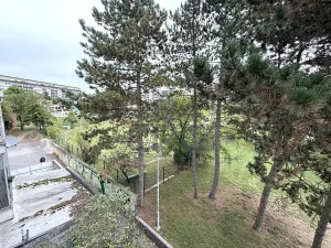 Pronájem bytu 2+kk, Brno, Haškova, 87 m2