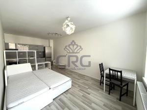 Pronájem bytu 1+kk, Moravany, Višňová, 35 m2