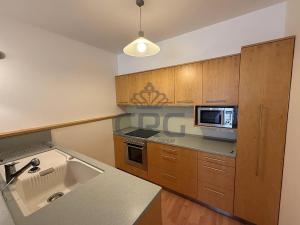 Pronájem bytu 2+kk, Brno - Lesná, Haškova, 87 m2