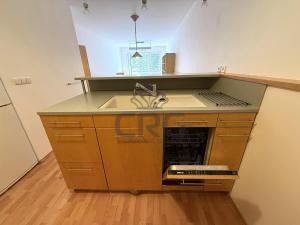 Pronájem bytu 2+kk, Brno - Lesná, Haškova, 87 m2