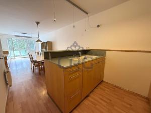 Pronájem bytu 2+kk, Brno - Lesná, Haškova, 87 m2