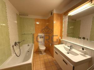 Pronájem bytu 2+kk, Brno - Lesná, Haškova, 87 m2
