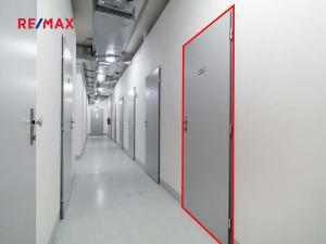 Pronájem bytu 1+kk, Praha - Žižkov, Olšanská, 35 m2