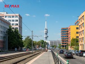 Pronájem bytu 1+kk, Praha - Žižkov, Olšanská, 35 m2