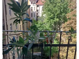 Pronájem bytu 2+kk, Praha - Bubeneč, U studánky, 57 m2