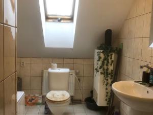 Prodej obchodního prostoru, Liberec - Liberec I-Staré Město, Ruprechtická, 481 m2