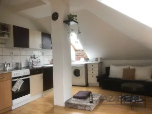 Prodej vily, Liberec - Liberec I-Staré Město, Ruprechtická, 481 m2